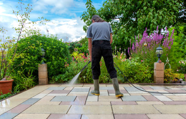 Best Fence Cleaning and Maintenance in Burnettown, SC